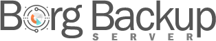 Borg Backup Server